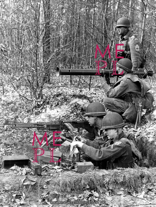 : Manoeuvre of allied troops in Grunewald in Berlin : Manoeuvre of allied troops in Grunewald in Berlin
