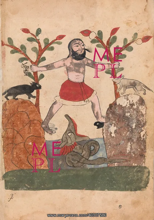 : Man's Fate or the Man Taking Refuge in a Well : Man's Fate or the Man Taking Refuge in a Well