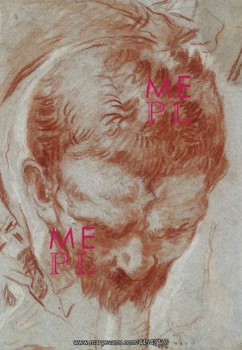 : A Man's Head in Foreshortening : A Man's Head in Foreshortening