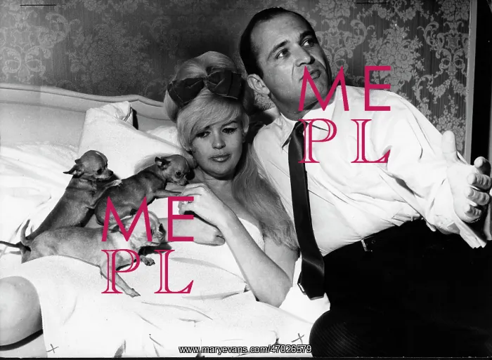 : Mansfield In Bed With Pups : Mansfield In Bed With Pups