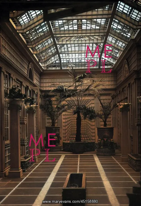 : MANSION CONSERVATORY : MANSION CONSERVATORY