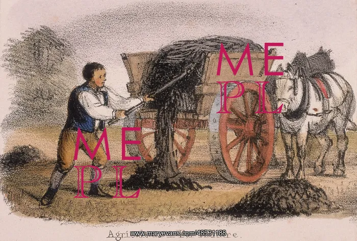 : The manure cart. From Graphic Illustrations of : The manure cart. From Graphic Illustrations of