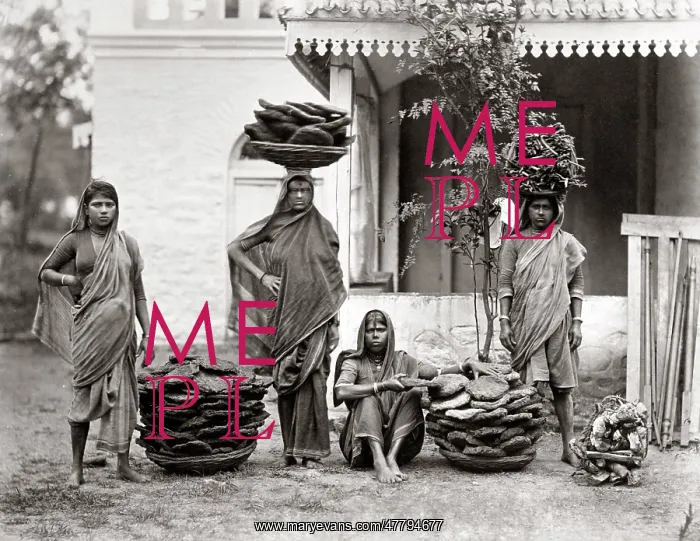 : Manure dryers, India, c.1870's : Manure dryers, India, c.1870's