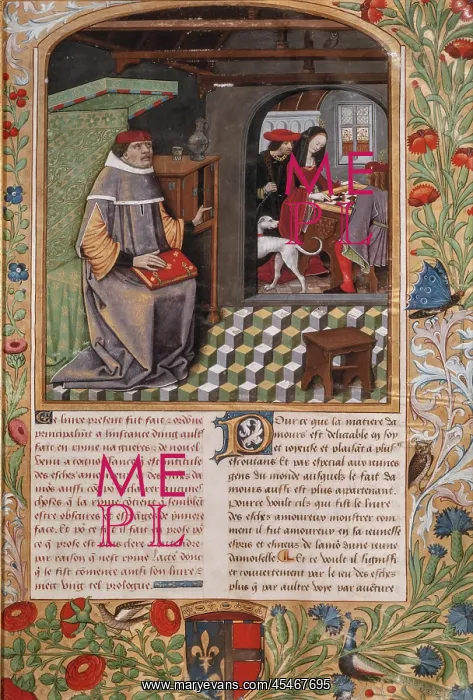 : Manuscript, Chateau du Clos Luce, Amboise : Manuscript, Chateau du Clos Luce, Amboise