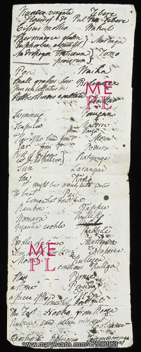 : Manuscript page from Robert Brown's diary : Manuscript page from Robert Brown's diary