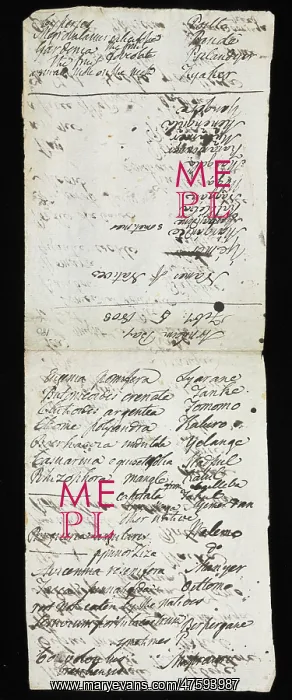 : Manuscript page from Robert Brown's diary : Manuscript page from Robert Brown's diary