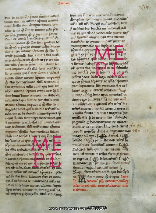 : Manuscript about the sale of a plot : Manuscript about the sale of a plot