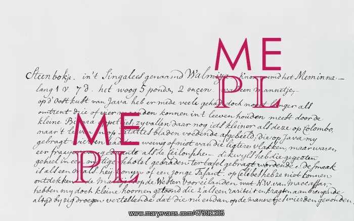 : Detail of manuscript text : Detail of manuscript text