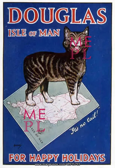 : MANX CAT ADVERTISEMENT : MANX CAT ADVERTISEMENT