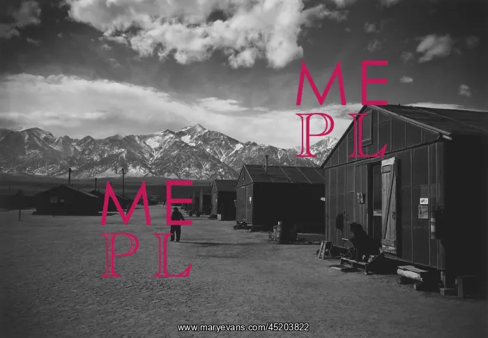 : Manzanar Relocation Center, a World War ? : Manzanar Relocation Center, a World War ?