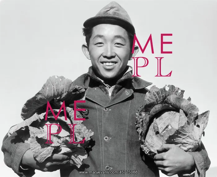 : Manzanar War Relocation Center - World War II : Manzanar War Relocation Center - World War II