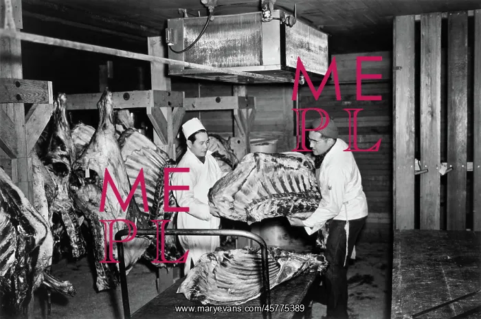 : Manzanar War Relocation Center - World War II : Manzanar War Relocation Center - World War II