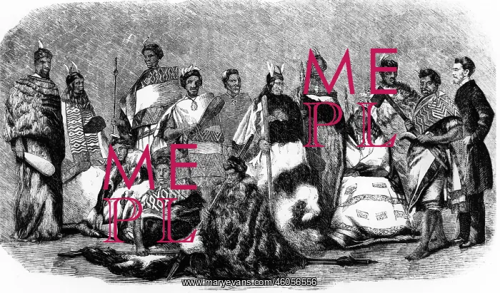 : Maori Chiefs : Maori Chiefs