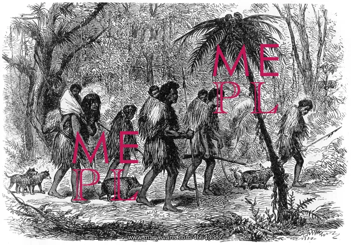 : MAORI MIGRATION / NZ