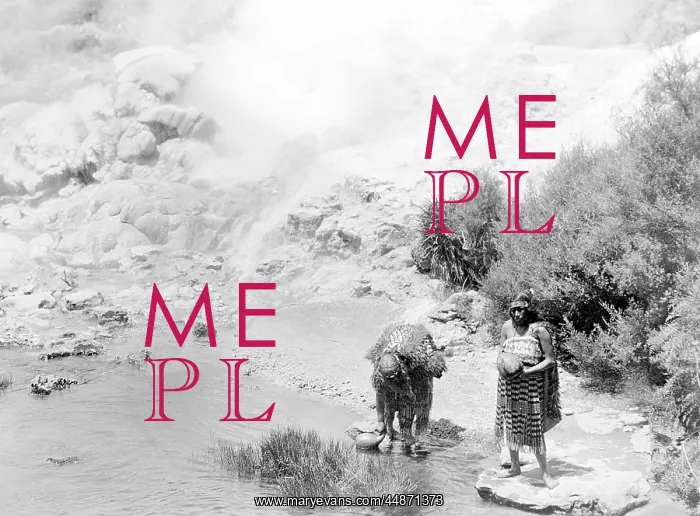 : MAORIS COLLECTING WATER : MAORIS COLLECTING WATER