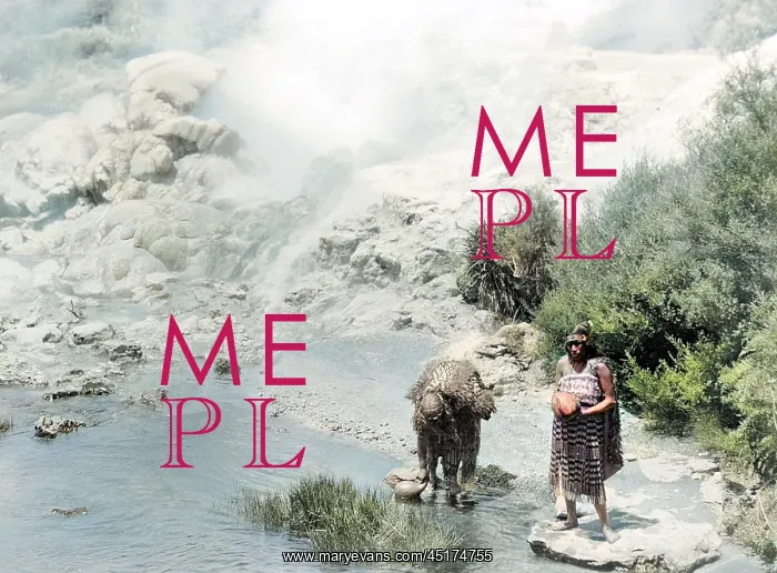 : MAORIS COLLECTING WATER : MAORIS COLLECTING WATER