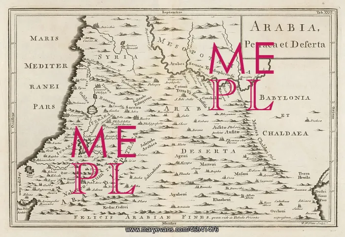  : MAP OF ARABIA DESERTA