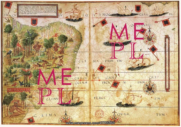  : Map of Brazil 1519
