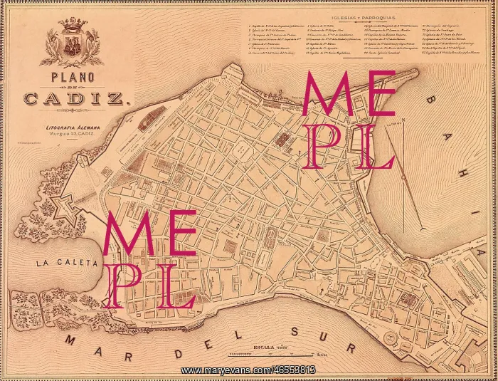 : Map of Cadiz (19th c.). Engraving. SPAIN. Cadiz : Map of Cadiz (19th c.). Engraving. SPAIN. Cadiz