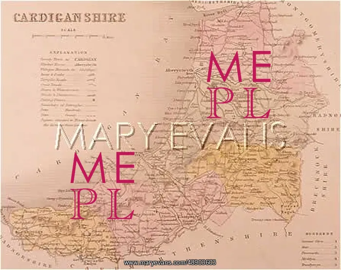 : MAP / CARDIGANSHIRE C1857