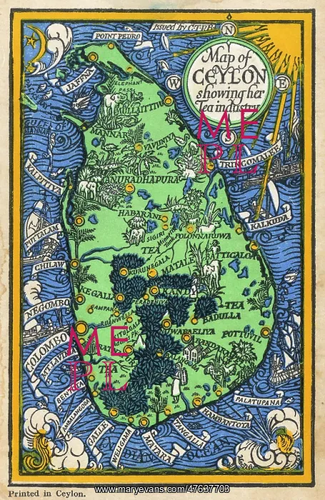 : Map of Ceylon showing tea industry plantations : Map of Ceylon showing tea industry plantations