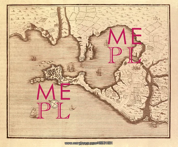 : Map of Cidiz. Engraving : Map of Cidiz. Engraving