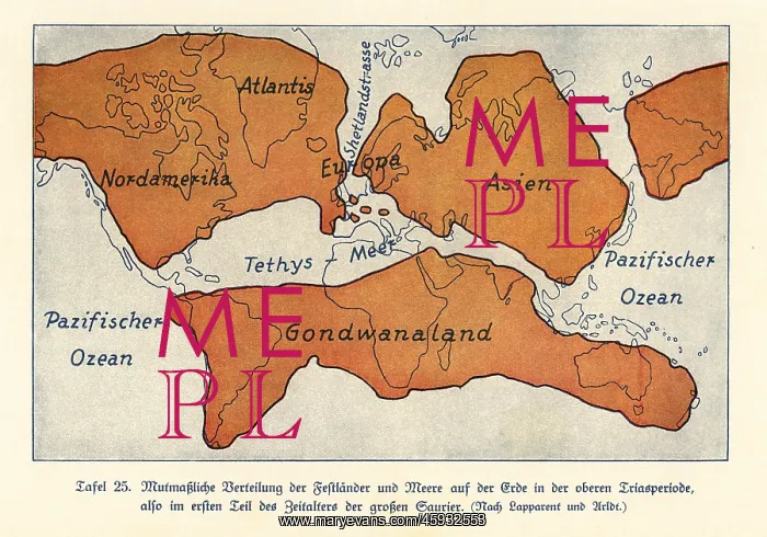 : Map of the continents and seas in the Upper Triassic : Map of the continents and seas in the Upper Triassic