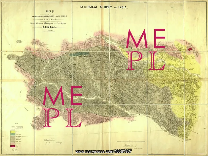 : Map of the Damoodah and adjacent coal field (Williams 1847) : Map of the Damoodah and adjacent coal field (Williams 1847)