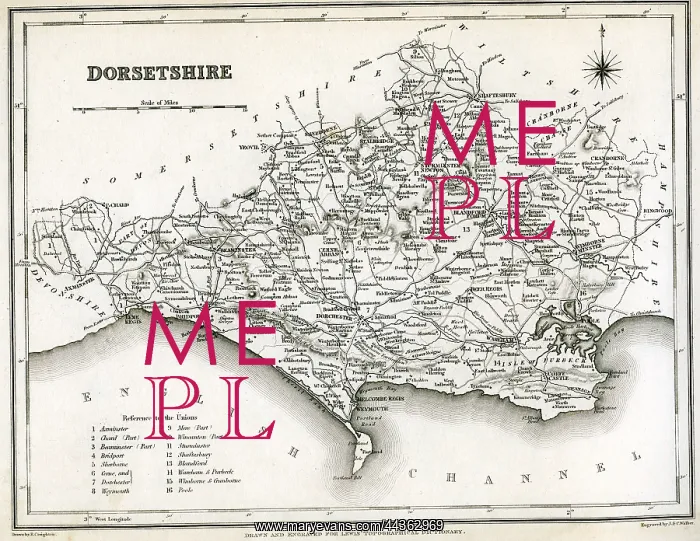  : Map of Dorsetshire