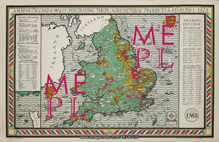 : A Map of England & Wales : A Map of England & Wales