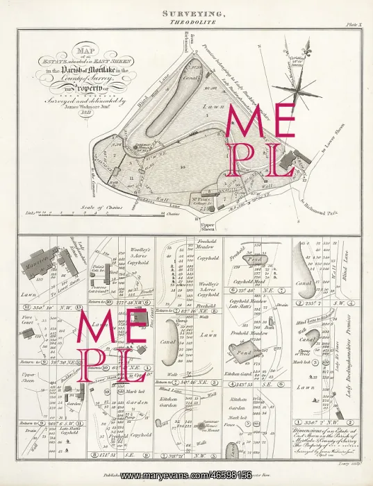 : Map of an estate surveyed and delineated using a theodolite : Map of an estate surveyed and delineated using a theodolite