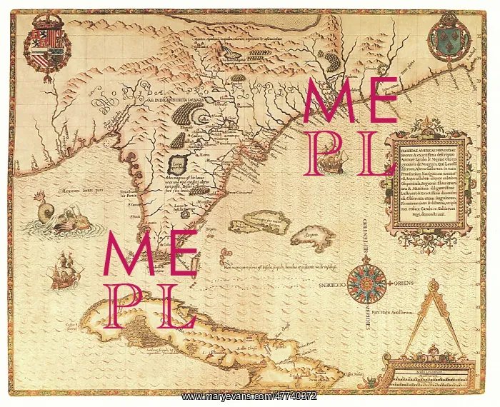  : Map of Florida 1565