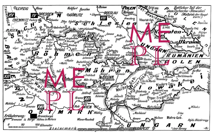 : Map of the German-Czech border area, 1938 : Map of the German-Czech border area, 1938
