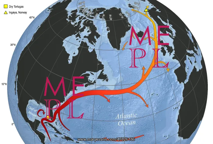 : Map of Gulf Stream and North Atlantic Current : Map of Gulf Stream and North Atlantic Current