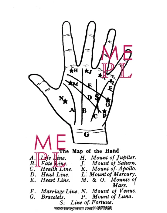 : THE MAP OF THE HAND : THE MAP OF THE HAND