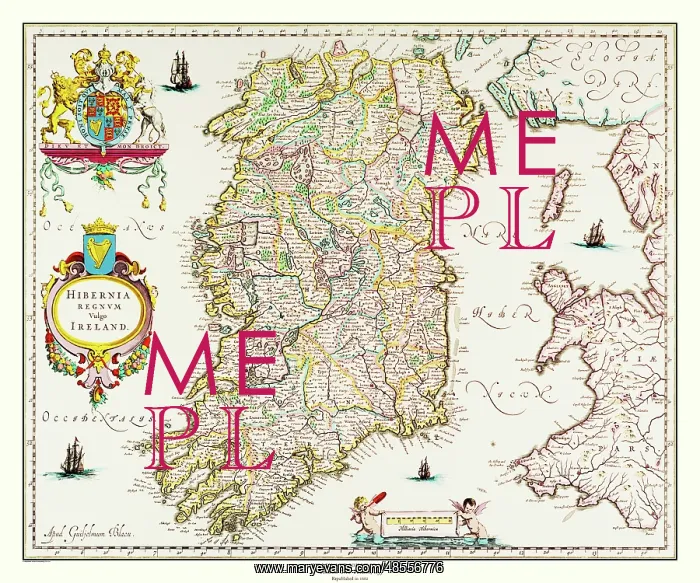 : Map of Ireland by Willem and Johan Blaeu : Map of Ireland by Willem and Johan Blaeu