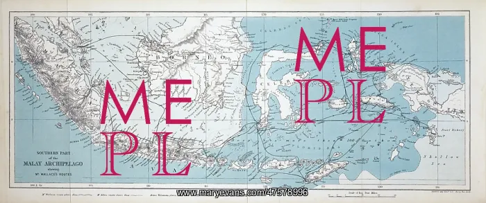 : Map of the Malay Archipelago : Map of the Malay Archipelago