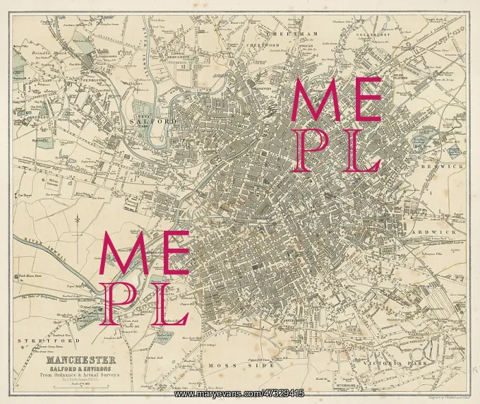  : Map - Manchester, 1878