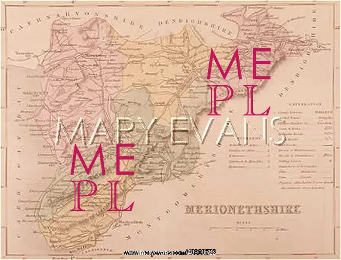 : MAP / MERIONETHSHIRE C1857 : MAP / MERIONETHSHIRE C1857