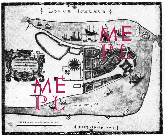 : Map of New Amsterdam, 1661 : Map of New Amsterdam, 1661