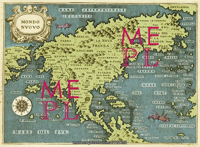 : Map of the New World, 1572 : Map of the New World, 1572