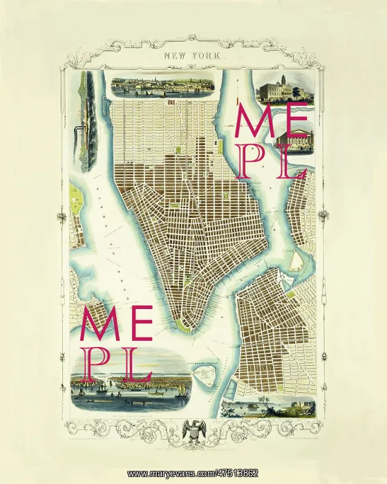 : Map of New York, 1851 : Map of New York, 1851