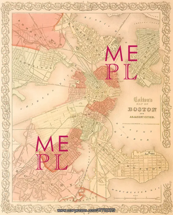  : Map of Noted Buildings. Boston - 1865