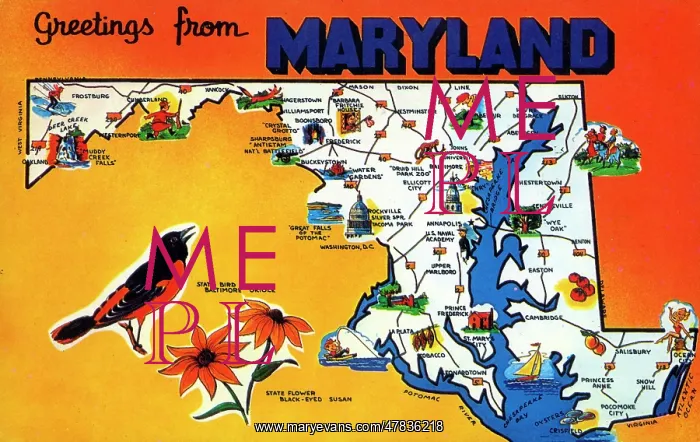 : Map postcard - Greetings from Maryland, USA : Map postcard - Greetings from Maryland, USA
