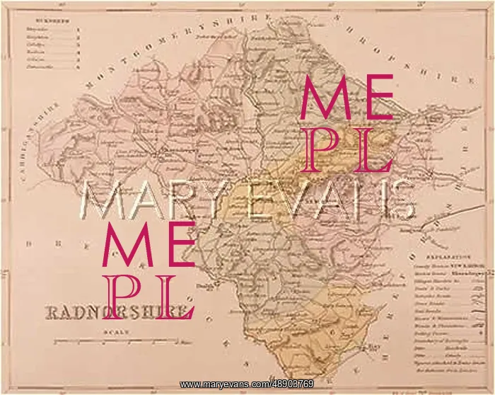  : MAP / RADNORSHIRE C1857