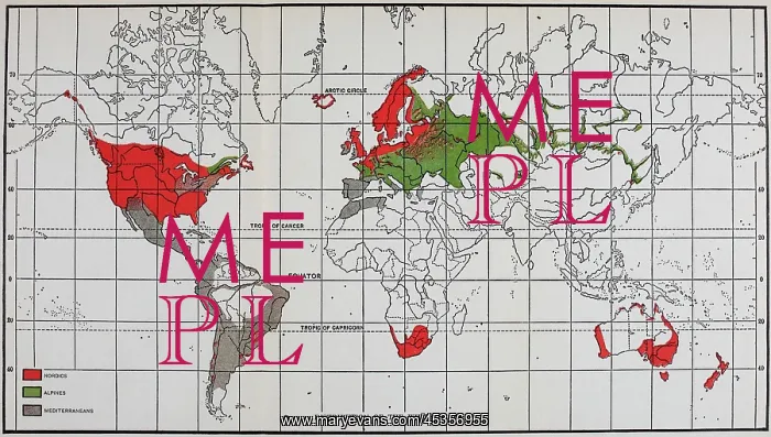 : Map showing the Distribution of White Race in : Map showing the Distribution of White Race in