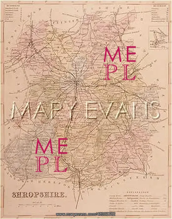  : MAP / SHROPSHIRE / SALOP