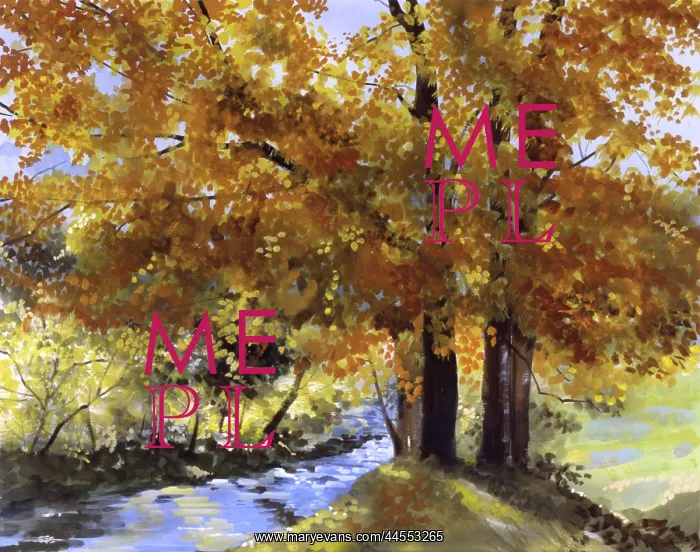 : Maple Fall : Maple Fall