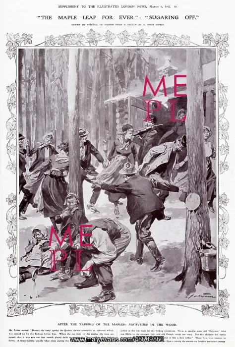 : The Maple Leaf for ever: Sugaring off : The Maple Leaf for ever: Sugaring off