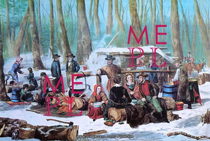 : Maple Sugaring, 1872 : Maple Sugaring, 1872